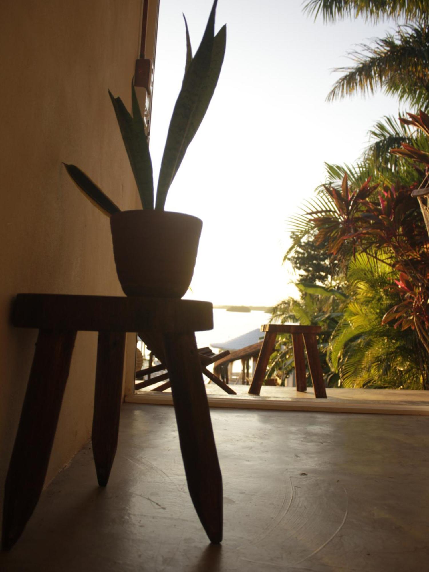 Tropic Bacalar Hotel Bagian luar foto