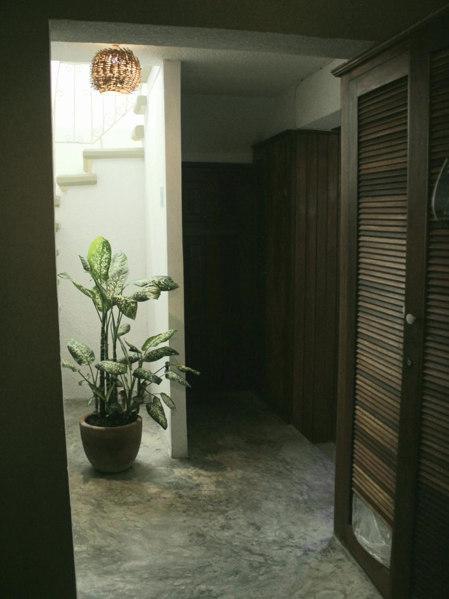 Tropic Bacalar Hotel Bagian luar foto